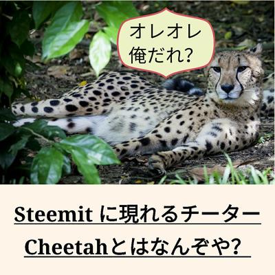 Steemit 日本語の記事